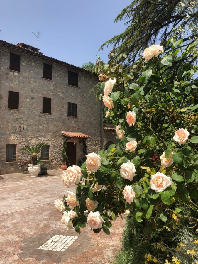 Agriturismo Beata Vanna Fabro Extérieur photo