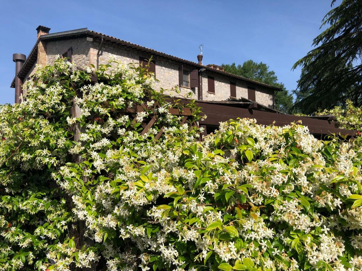 Agriturismo Beata Vanna Fabro Extérieur photo